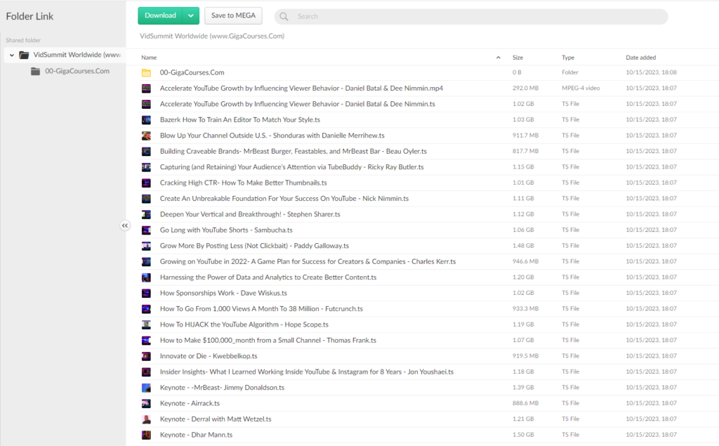 VidSummit Worldwide 