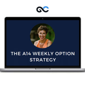 Aeromir - The A14 Weekly Option Strategy Workshop