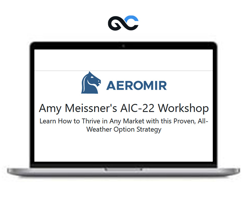 Aeromir - Amy Meissner's AIC-22 Workshop - Premium Courses