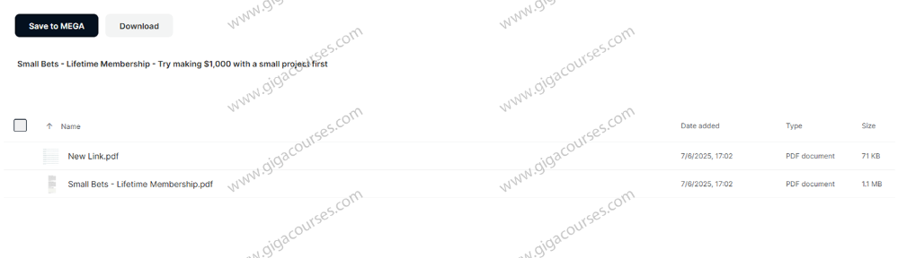 Small Bets - Lifetime Membership - Try making $1000 with a small project first