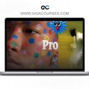 Andreis Ohneisser – AI Visual Mastery Complete Studio Suite Course