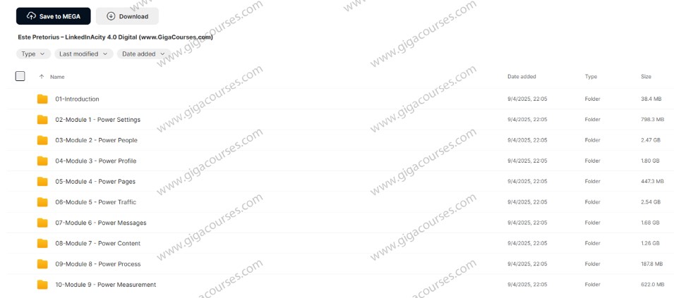 639. Este Pretorius – LinkedInAcity 4.0 Digital