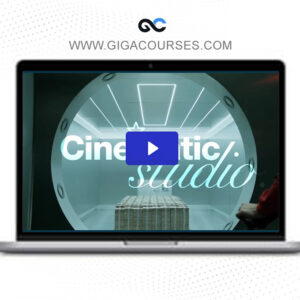 Elevenstoic - Build a Viral Brand That Grows, Sells & Looks Cinematic.