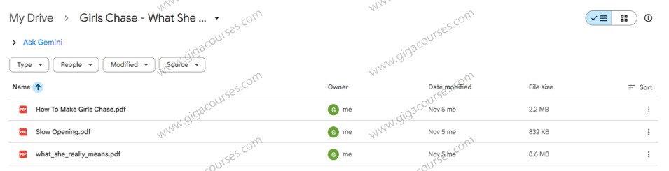 Girls Chase - What She Really Means