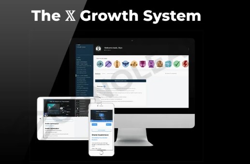 Stijn Noorman - The X Growth System