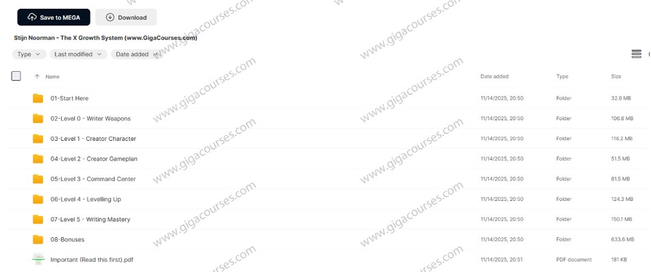 Stijn Noorman - The X Growth System