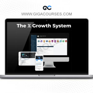 Stijn Noorman - The X Growth System