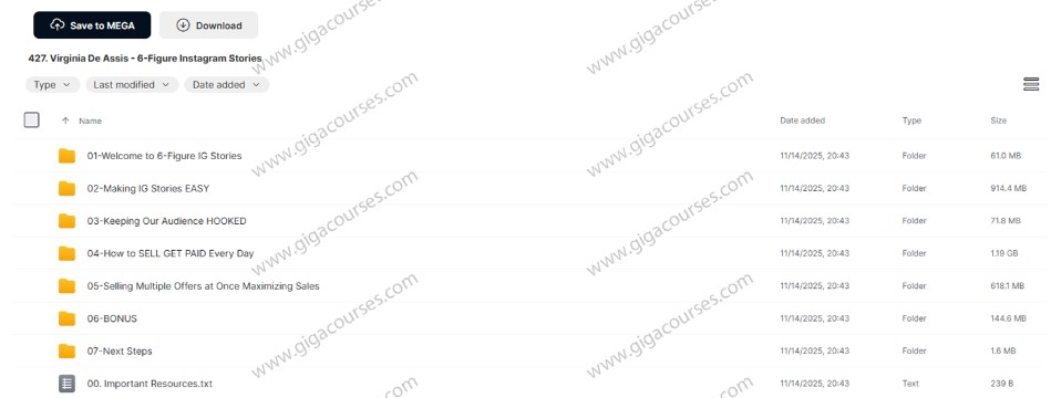 Virginia De Assis - 6-Figure Instagram Stories