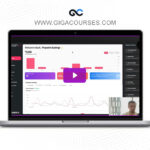 Cameron England - License & Scale - Full Access