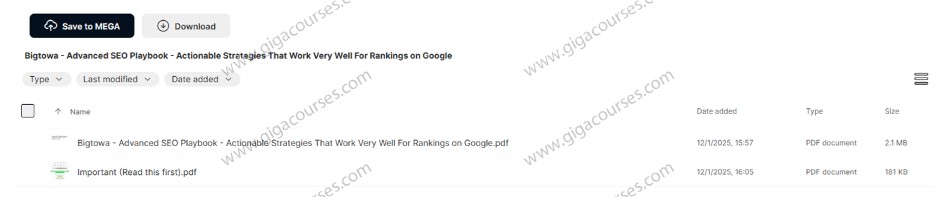Bigtowa - Advanced SEO Playbook - Actionable Strategies That Work Very Well For Rankings on Google