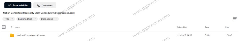 Notion Consultant Course By Molly Jones