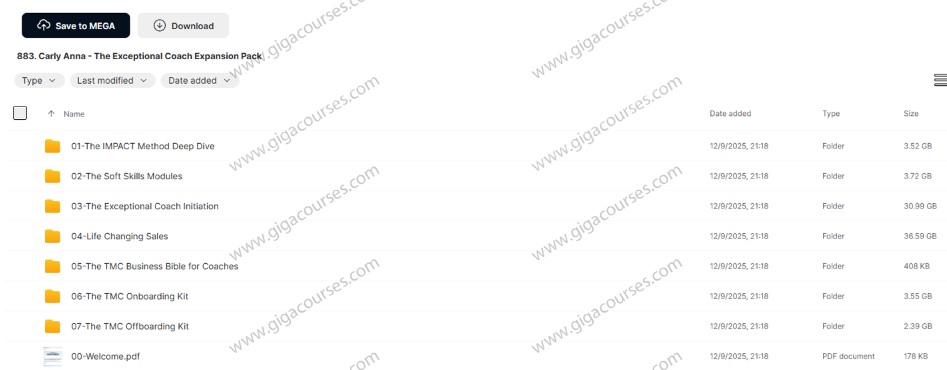 Carly Anna - The Exceptional Coach Expansion Pack